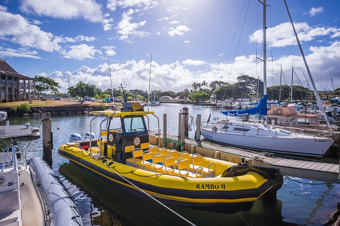 1.5-Hour Guided Whale Watching Tour - The crew makes a difference
