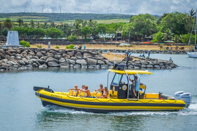1.5-Hour Guided Whale Watching Tour - Wildlife expectations: whales are only part of the story