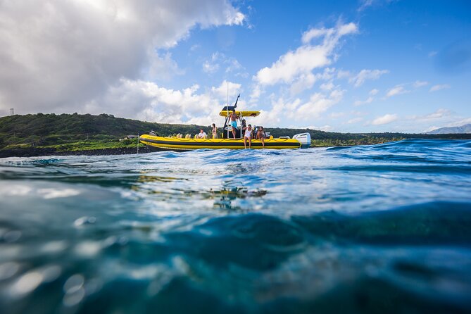 1.5-Hour Guided Whale Watching Tour - Is $99 a fair price?