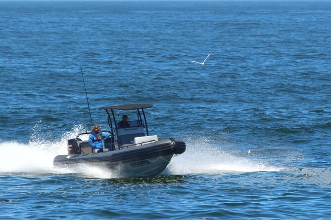 1 Day Whale Watching at Yzerfontein - Boarding Meganova, a fast RIB for only 10 people