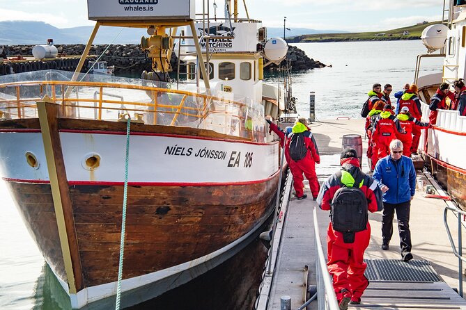 100% Whale Watching - A Traditional Boat and a Small-Group Feel