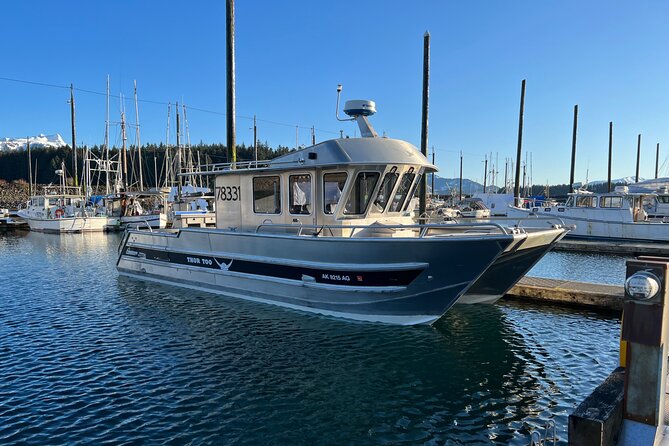 14 passenger Whale Watching Tours in Icy Strait aka Hoonah AK - Key points to know before booking