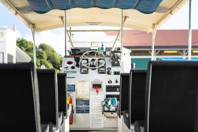 2.5 Hour Whale Escape Tour - Comfort, safety, and who should skip it