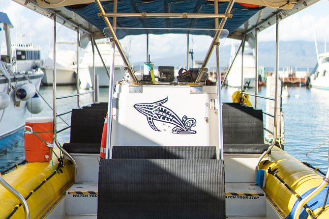 2.5 Hour Whale Escape Tour - Who will get the most from this trip