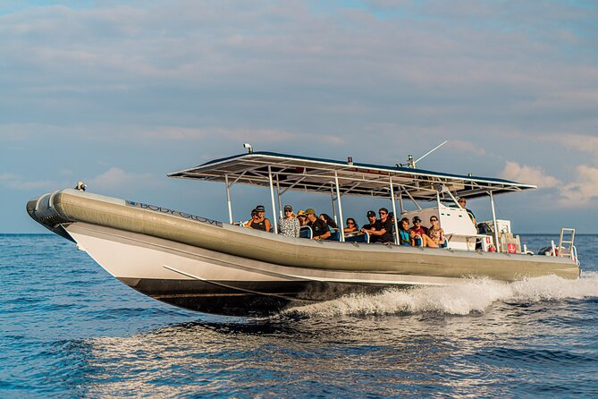 2.5-Hour Whale Watching On A 41' Super-Raft - Setting out from Kailua-Kona at 1:30 pm