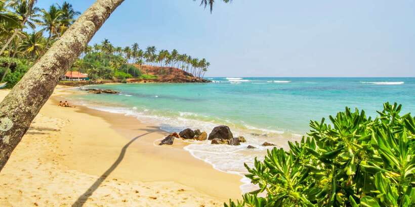 2-Day Whale Watching & Southern Sri Lanka Tour - Key points at a glance