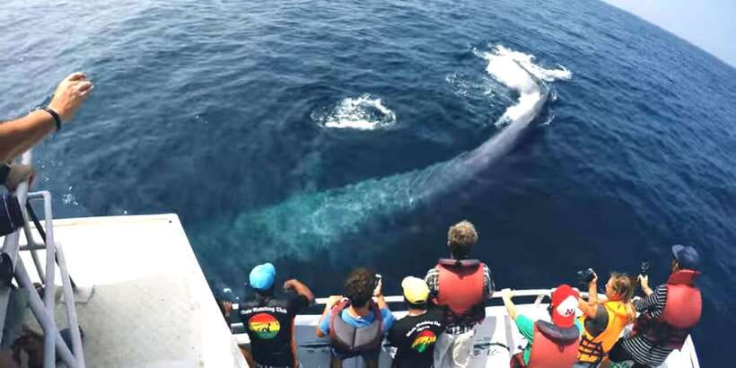 2-Day Whale Watching & Southern Sri Lanka Tour - A slow boat through Bentota River