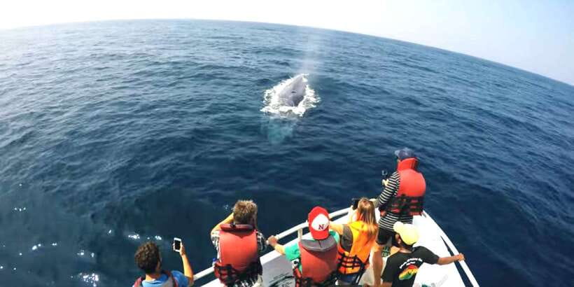 2-Day Whale Watching & Southern Sri Lanka Tour - Walking through Galle Fort