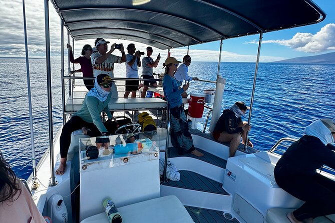 2 Hour Afternoon Lahaina Whale Watch - Starting at Mala Boat Ramp
