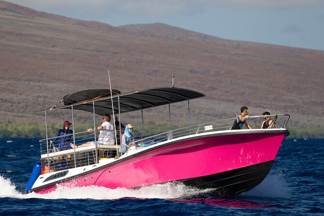 2 Hour Afternoon Lahaina Whale Watch - Family fit, physical demands, and comfort