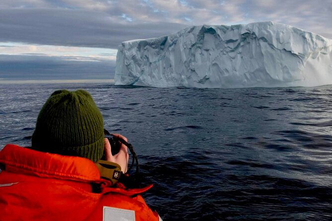 2 Hour Award-Winning Whale and Seabird Boat Tour from St. John's - Fort Amherst and St. John’s maritime story