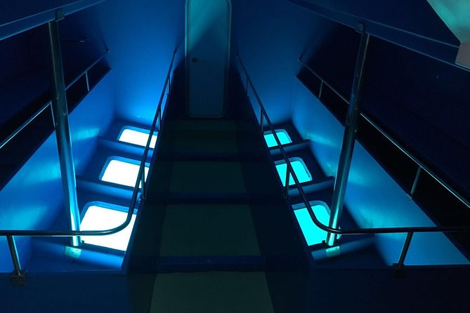 2-Hour Dolphin and Whale Watching in Gran Canaria - The Boat, Views, and Onboard Bar