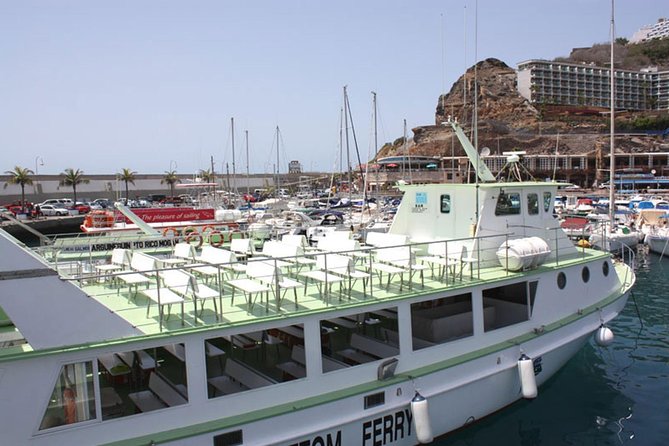 2-Hour Dolphin and Whale Watching in Gran Canaria - Seasickness Is the Serious Consideration