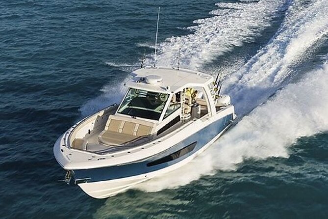 2-Hour Ma'alaea Humpback Whale Watching Cruise for up to 6 Guests - The viewing areas around Maʻalaea Bay
