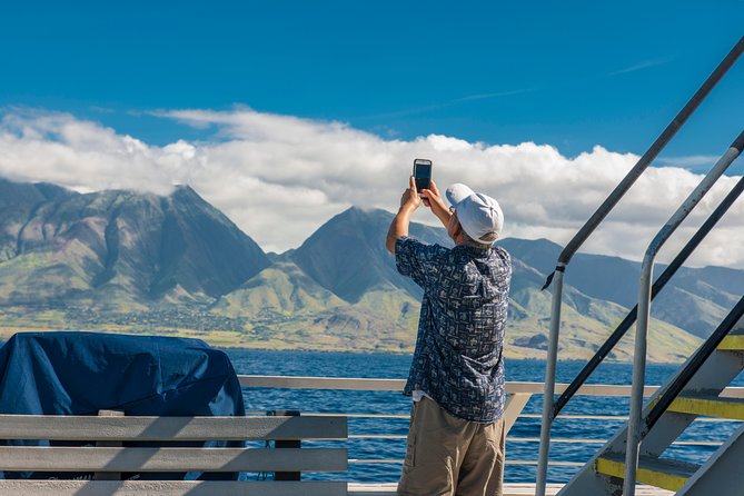 2-Hour Oahu Whale Watch from Ala Wai Harbor, Waikiki - Waikiki Beach looks different from the water