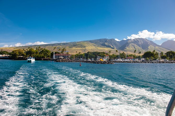 2-Hour Oahu Whale Watch from Ala Wai Harbor, Waikiki - A boat built for changing conditions