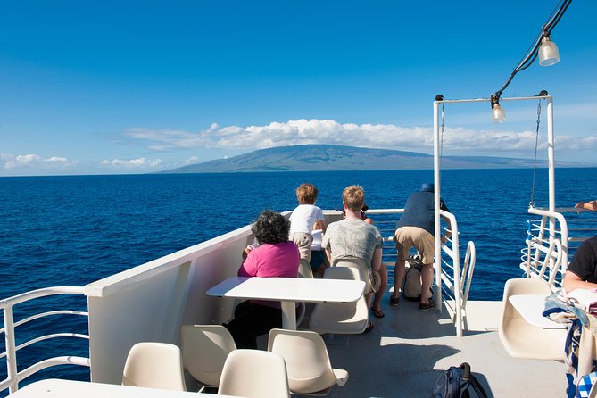 2-Hour Oahu Whale Watch from Ala Wai Harbor, Waikiki - Hearing whales through the hydrophone