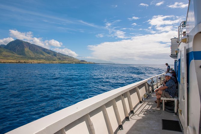 2-Hour Oahu Whale Watch from Ala Wai Harbor, Waikiki - What the $49.95 price really buys