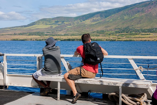 2-Hour Oahu Whale Watch from Ala Wai Harbor, Waikiki - Rough water, seasickness, and smart preparation