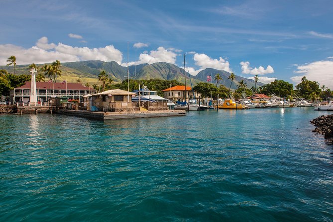 2-Hour Oahu Whale Watch from Ala Wai Harbor, Waikiki - Diamond Head from a whale-watching boat