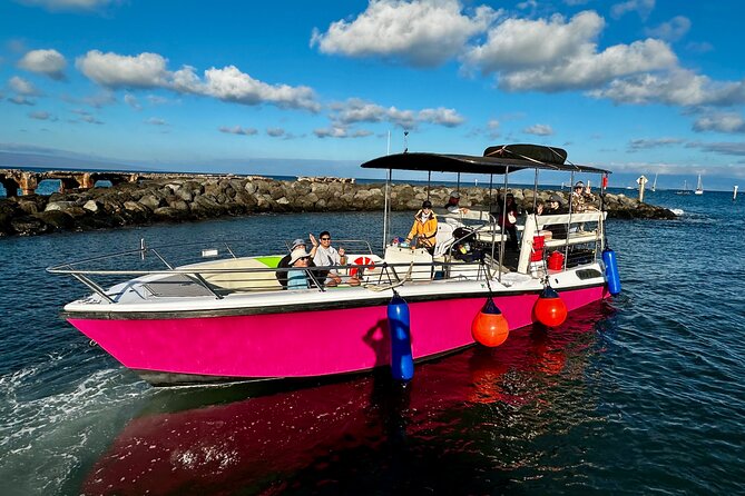 2 Hour Prime Time Maui Whale Watching - Mothers, calves, and the behavior lesson