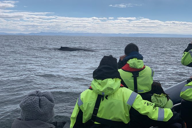2-Hour RIB Boat Whale Watching Tour from Reykjavik - Racing across Faxaflói Bay toward the whales