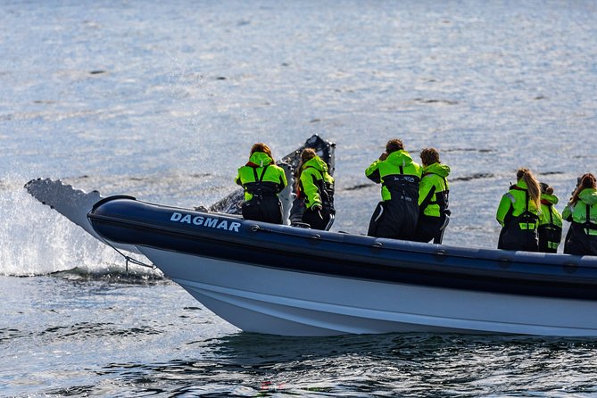 2-Hour RIB Boat Whale Watching Tour from Reykjavik - Who should book this experience?