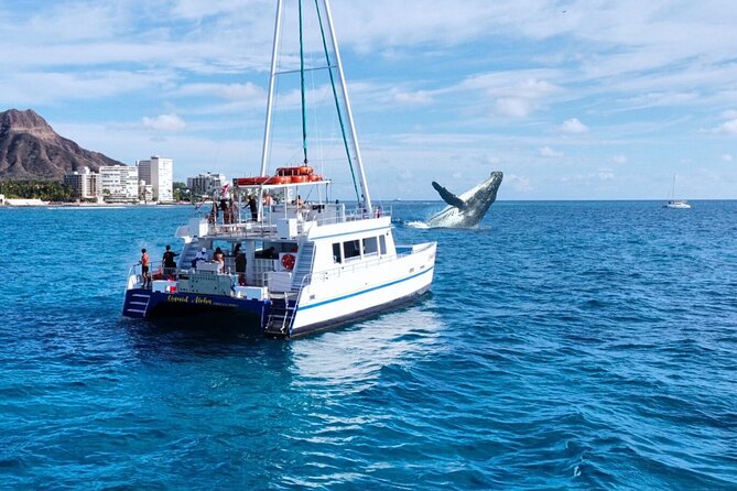 2 Hour Waikiki Whale Watching Cruise from Oahu - Key things to know before boarding
