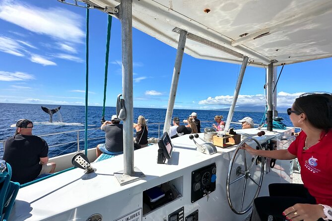 2 Hour Waikiki Whale Watching Cruise from Oahu - The upper deck, lower deck, and underwater room