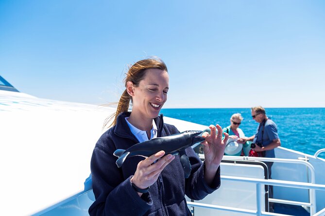 2 Hour Whale-Watching Cruise from Hillarys Boat Harbour - Setting out from Hillarys Boat Harbour