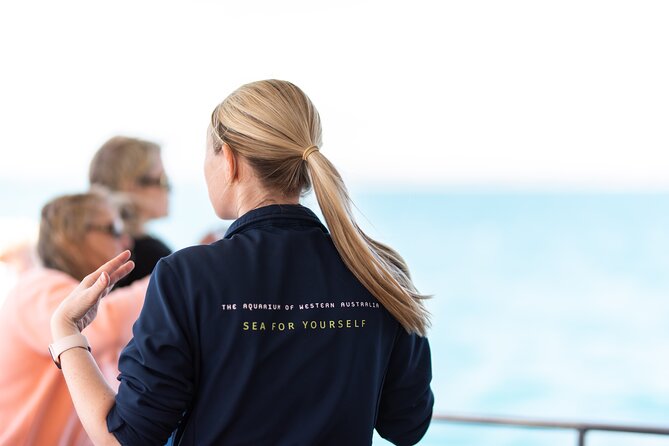 2 Hour Whale-Watching Cruise from Hillarys Boat Harbour - Handling the motion of the boat