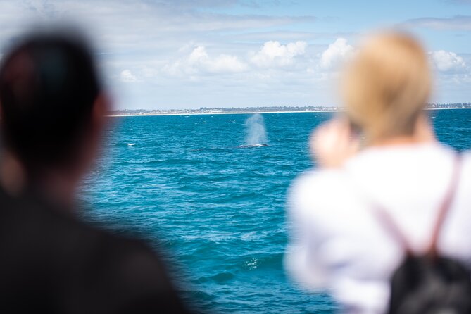 2 Hour Whale-Watching Cruise from Hillarys Boat Harbour - Making the most of your time at Hillarys