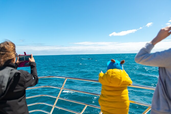 2 Hour Whale-Watching Cruise from Hillarys Boat Harbour - Booking, cancellation, and weather details