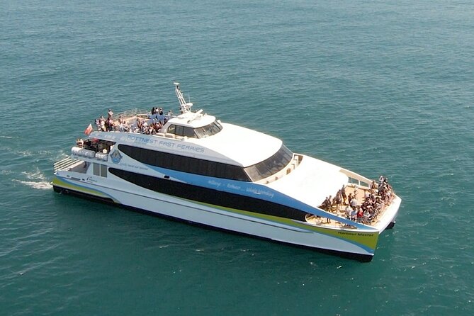 2 hour whale watching experience departing Hillarys Boat Harbour - The marine scientist makes the ride more useful