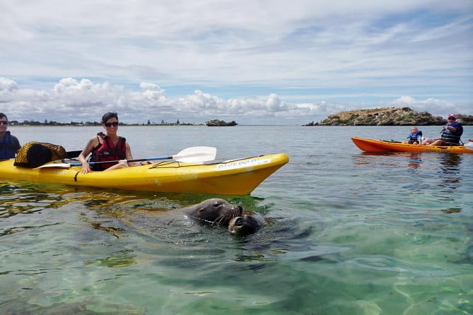 2 hour whale watching experience departing Hillarys Boat Harbour - Comfort, accessibility, and group size
