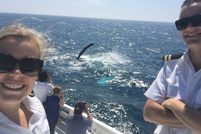 2 hour whale watching experience departing Hillarys Boat Harbour - Leaving from Hillarys Boat Harbour