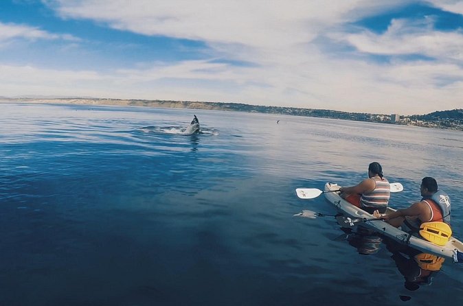 2 Hour Whale Watching Kayak Tour for Two - Paddling two miles west into the reserve