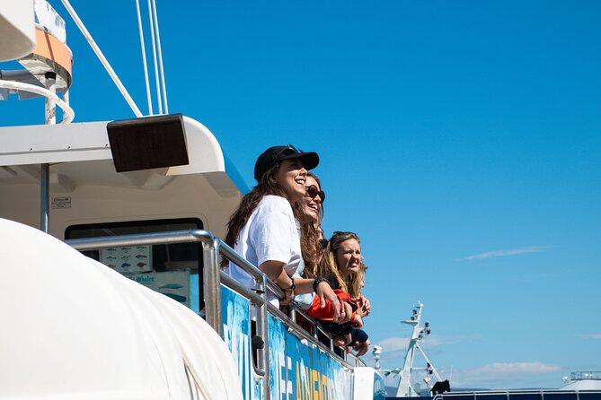 2 Hours Whale Watching Express Adventure - What the live commentary adds