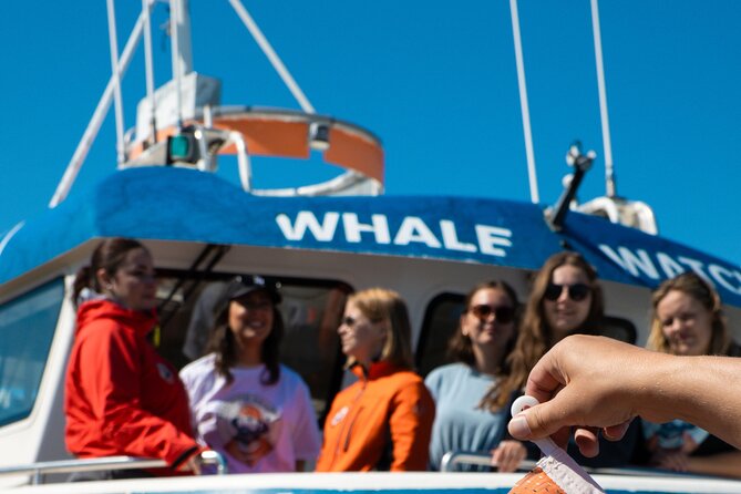 2 Hours Whale Watching Express Adventure - Weather, cancellations, and the free second cruise