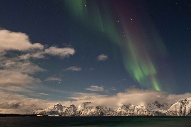 24hr Northern Lights & Whale Watching Cruise - Why this 24-hour cruise works so well