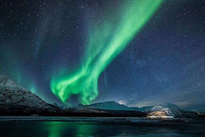 24hr Northern Lights & Whale Watching Cruise - What the food and comfort add to the price