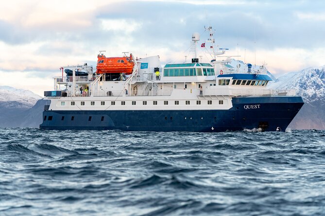 24hr Northern Lights & Whale Watching Cruise - Checking in at Tromsø Havn