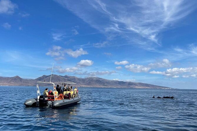 2h Dolphin and Whale Viewing + Snorkeling Tour - Leaving Puerto del Morro Jable by speedboat