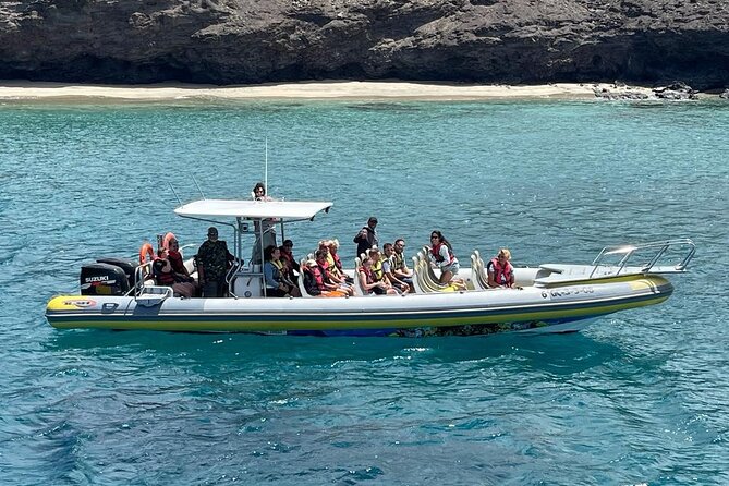 2h Dolphin and Whale Viewing + Snorkeling Tour - Searching for dolphins and whales off Fuerteventura