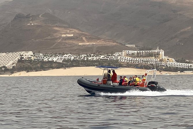 2h Dolphin and Whale Viewing + Snorkeling Tour - Should you book the Morro Jable dolphin and snorkeling trip?