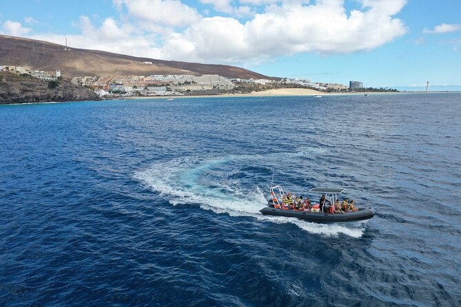 2h Dolphin and Whale Viewing + Snorkeling Tour - The ride itself: thrilling, wet, and sometimes rough