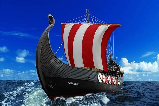 2h Viking Cruise Whales & Dolphins Watching - Who should choose this cruise?