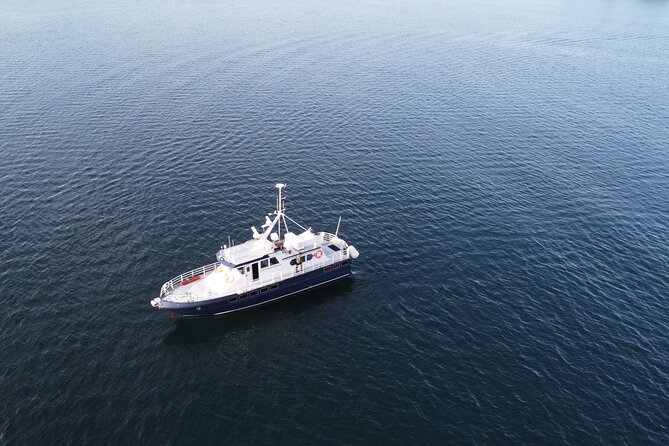3.5-Hour Arctic Magic with Fjord and Whale Watching Adventure - Booking, cancellation, and planning details