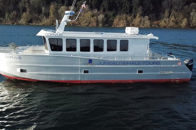 3.5 Hour Crowd-Skipping Whale Tour in Juneau, Alaska - What makes this Juneau whale tour different