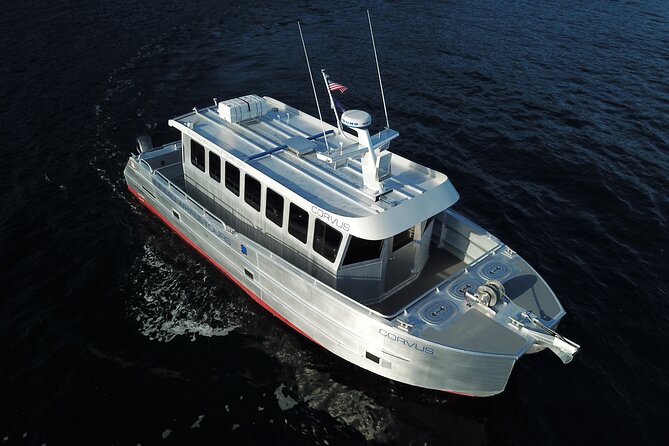 3.5 Hour Crowd-Skipping Whale Tour in Juneau, Alaska - What happens on the water
